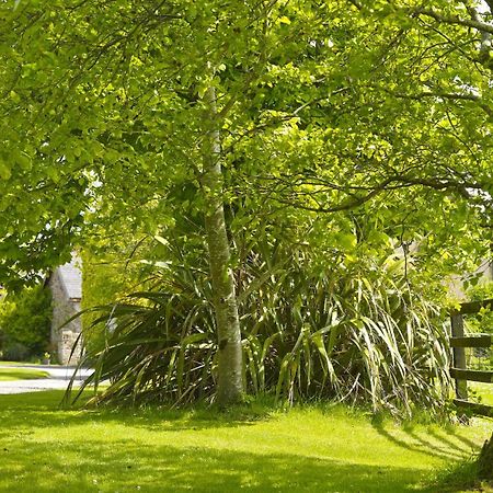 Courtyard Cottages Tralee Oda fotoğraf