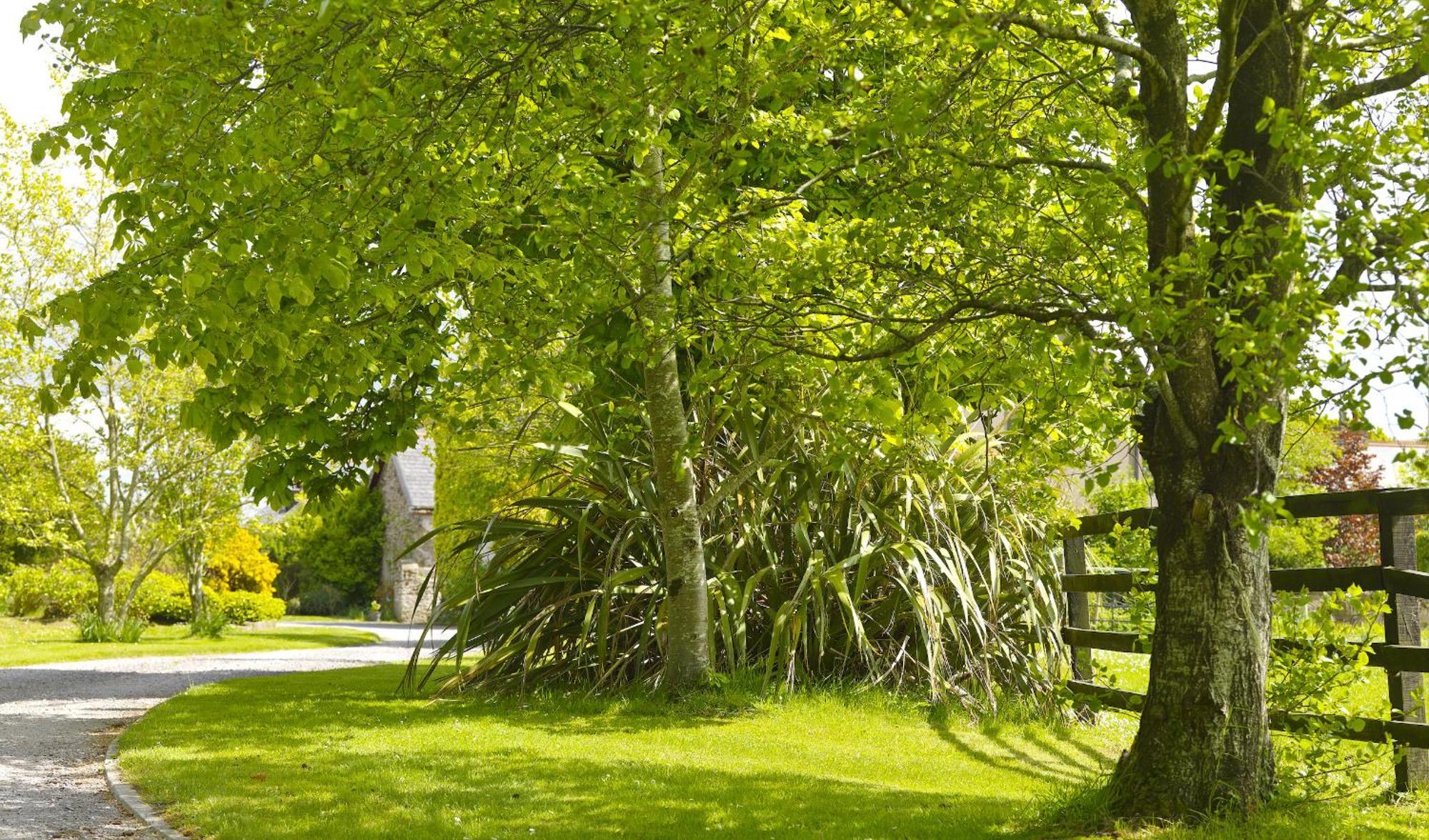 Courtyard Cottages Tralee Oda fotoğraf