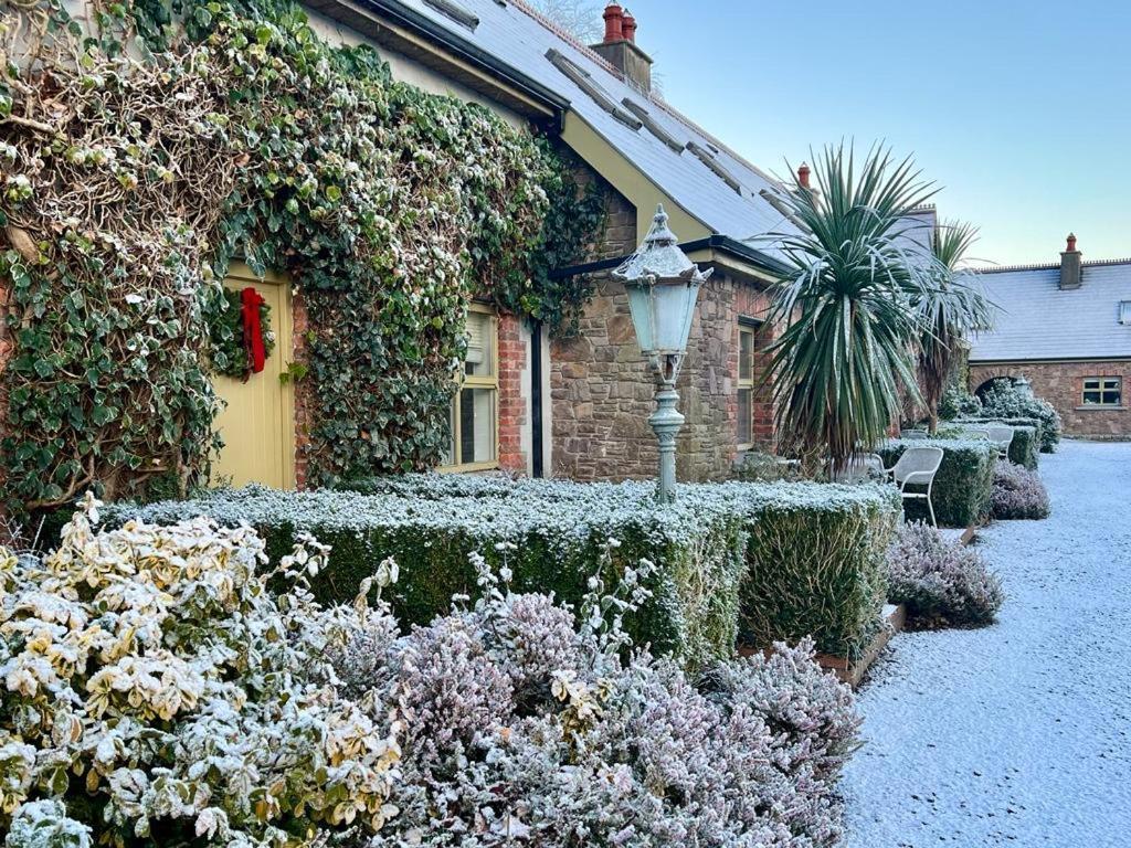 Courtyard Cottages Tralee Dış mekan fotoğraf